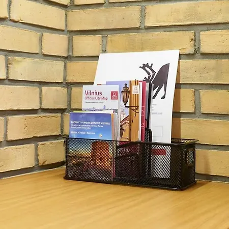 Διαμέρισμα Vingriu Briedis Studio Center Βίλνιους