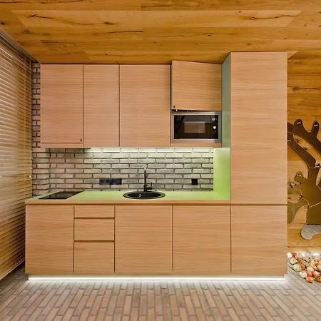 Διαμέρισμα Vingriu Briedis Studio Center Βίλνιους